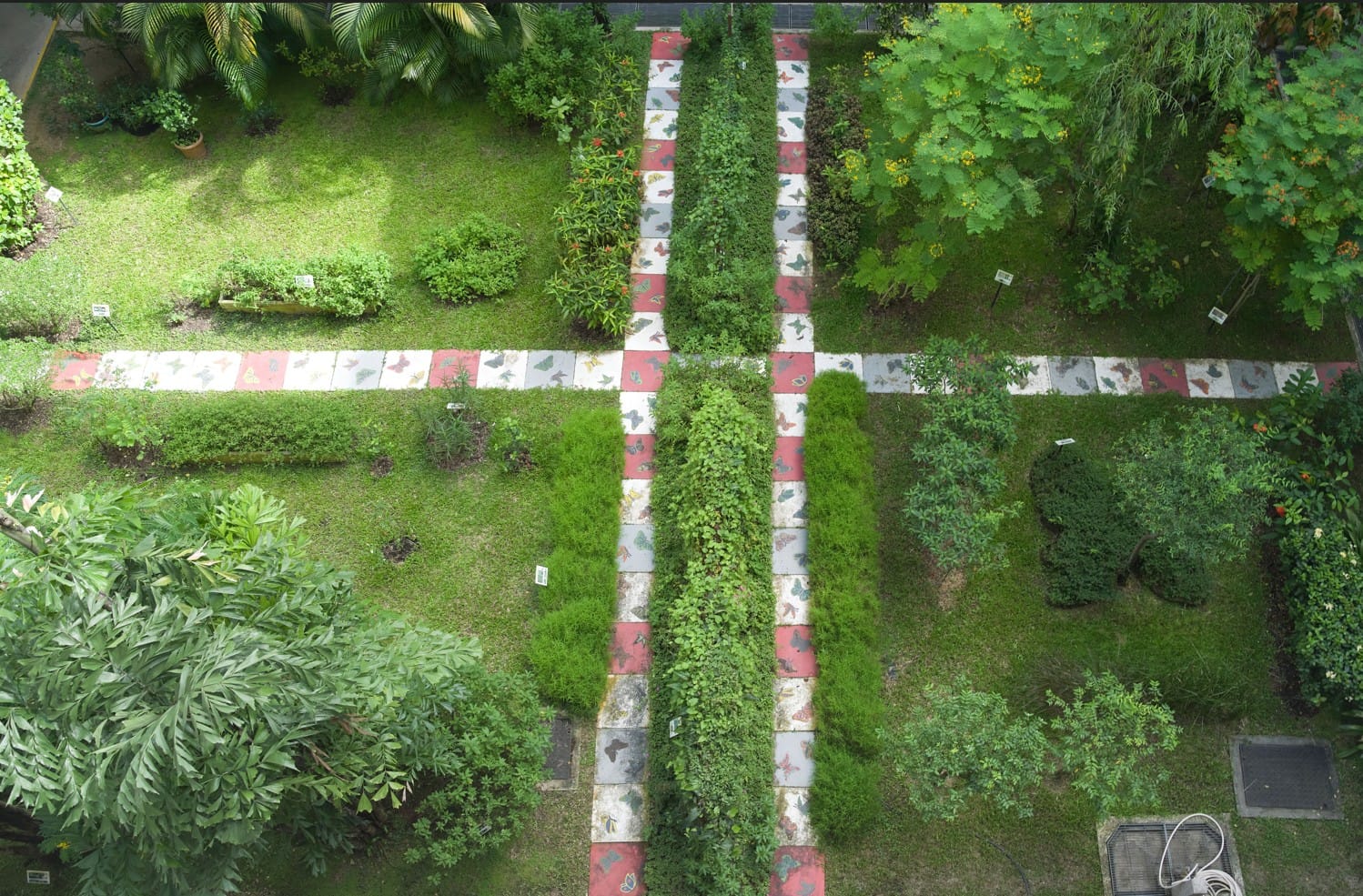 Aerial view of the butterfly garden with lush greenery and decorated pathways.